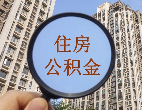 广东退休后查不到公积金明细了吗（退休后公积金查询不到原因）